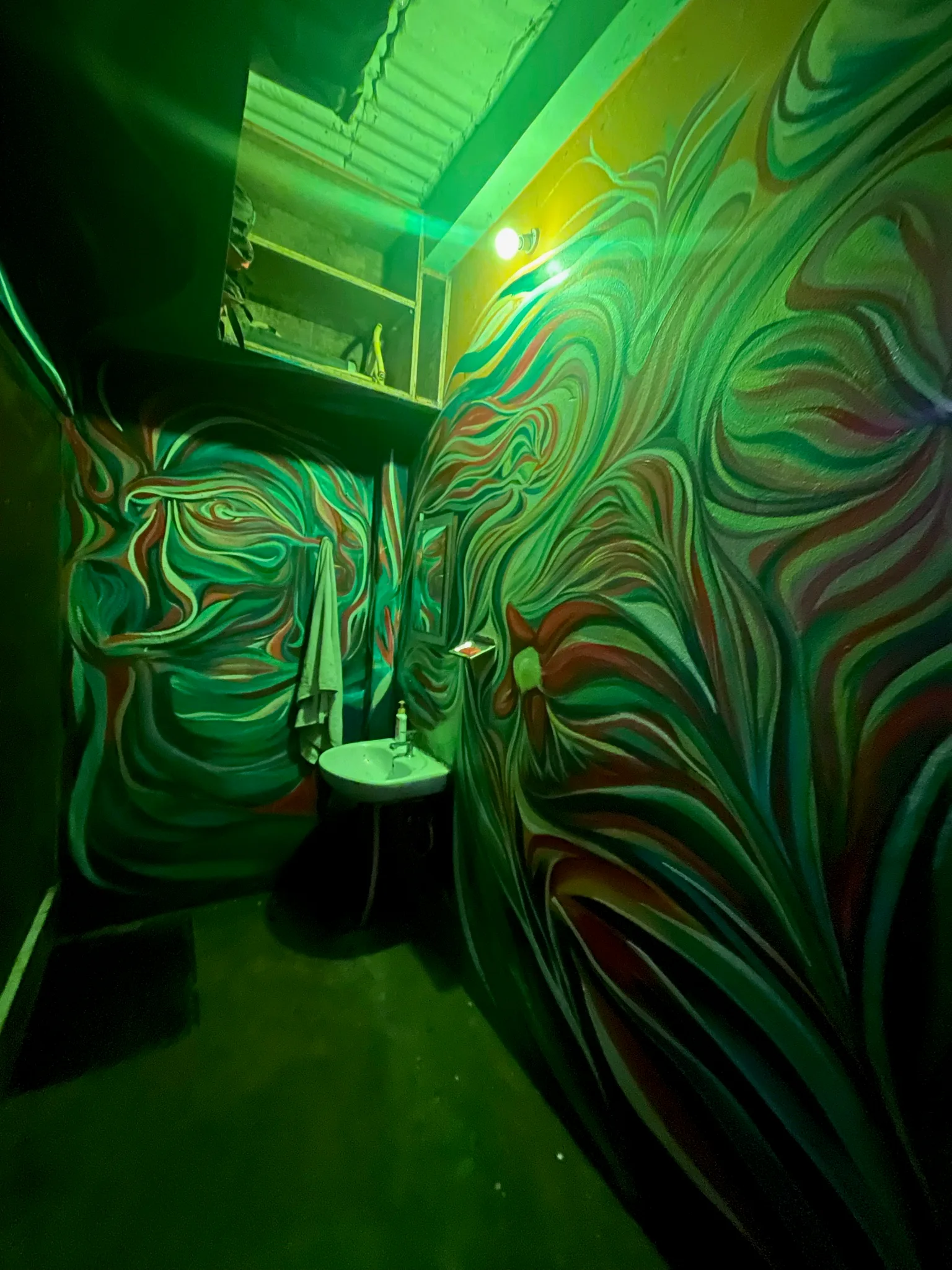 Mural by Shalagh Quinn — IMG_0326