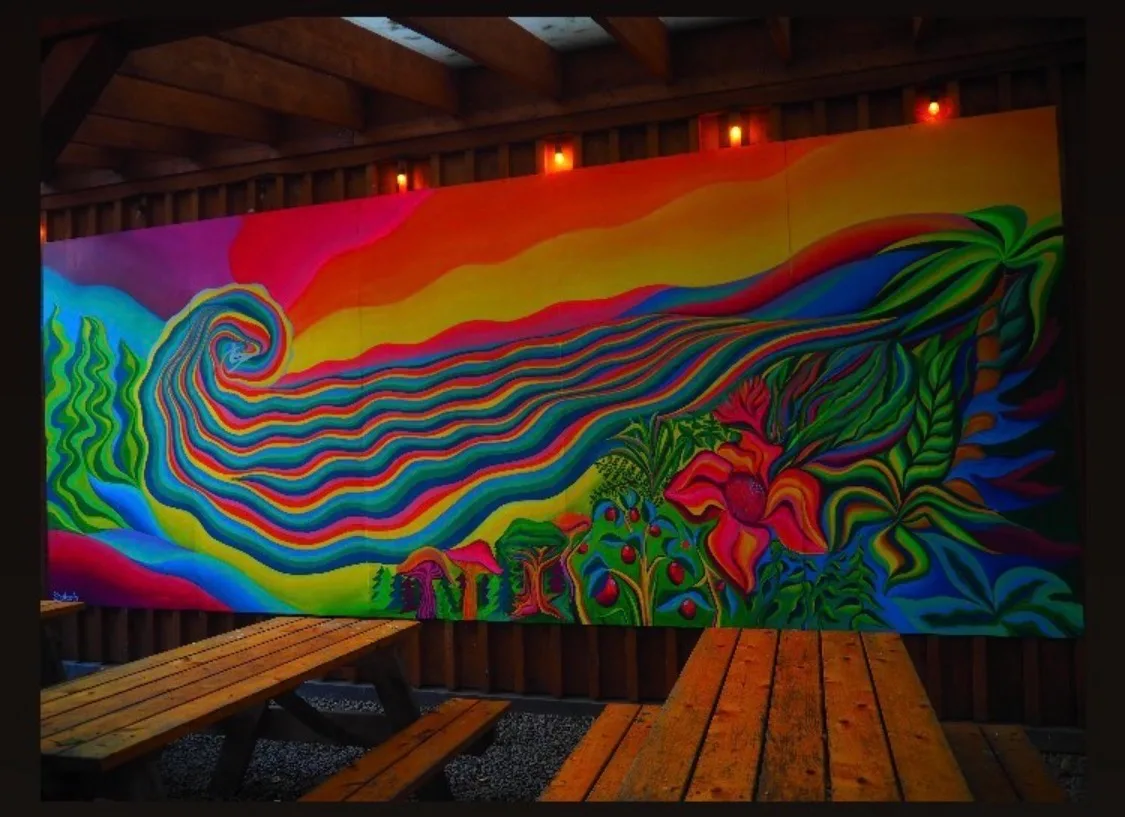 Mural by Shalagh Quinn — IMG_1156