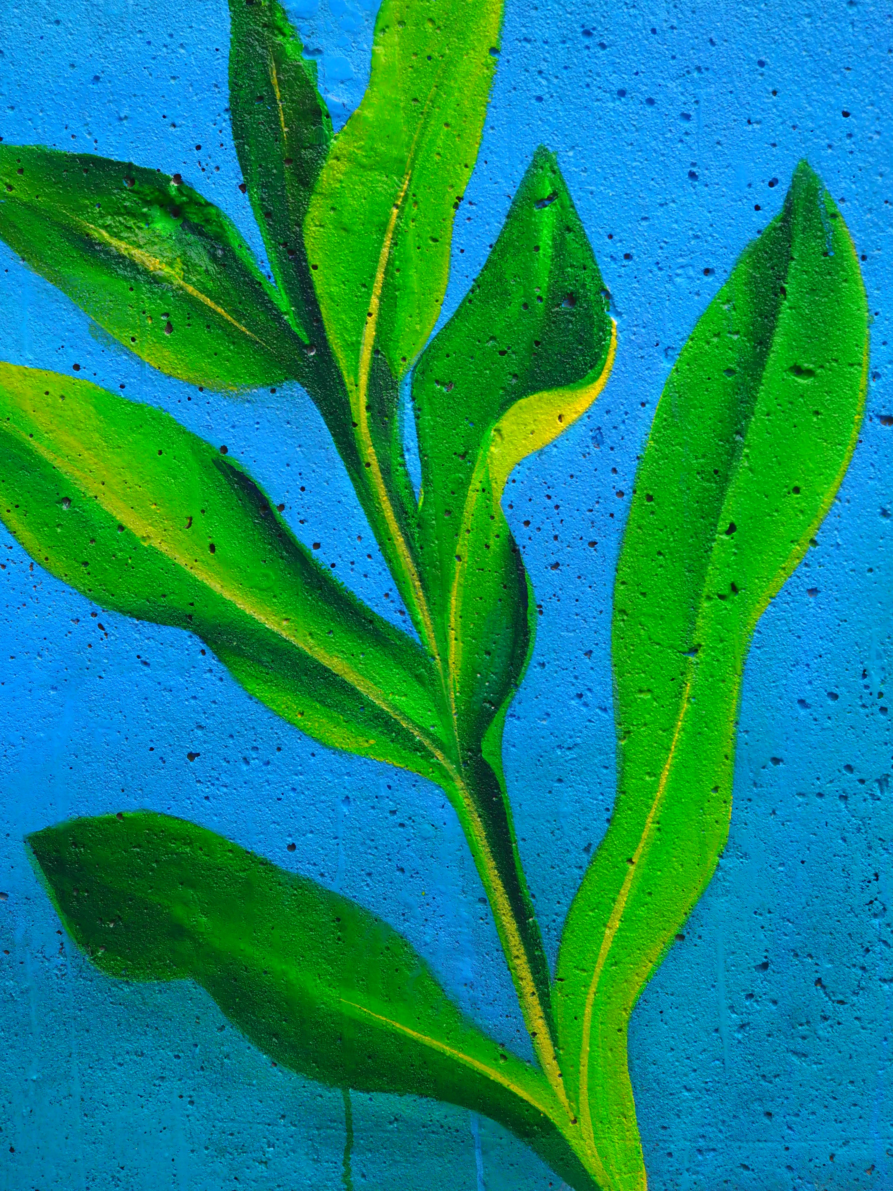 Mural by Shalagh Quinn — P1010050