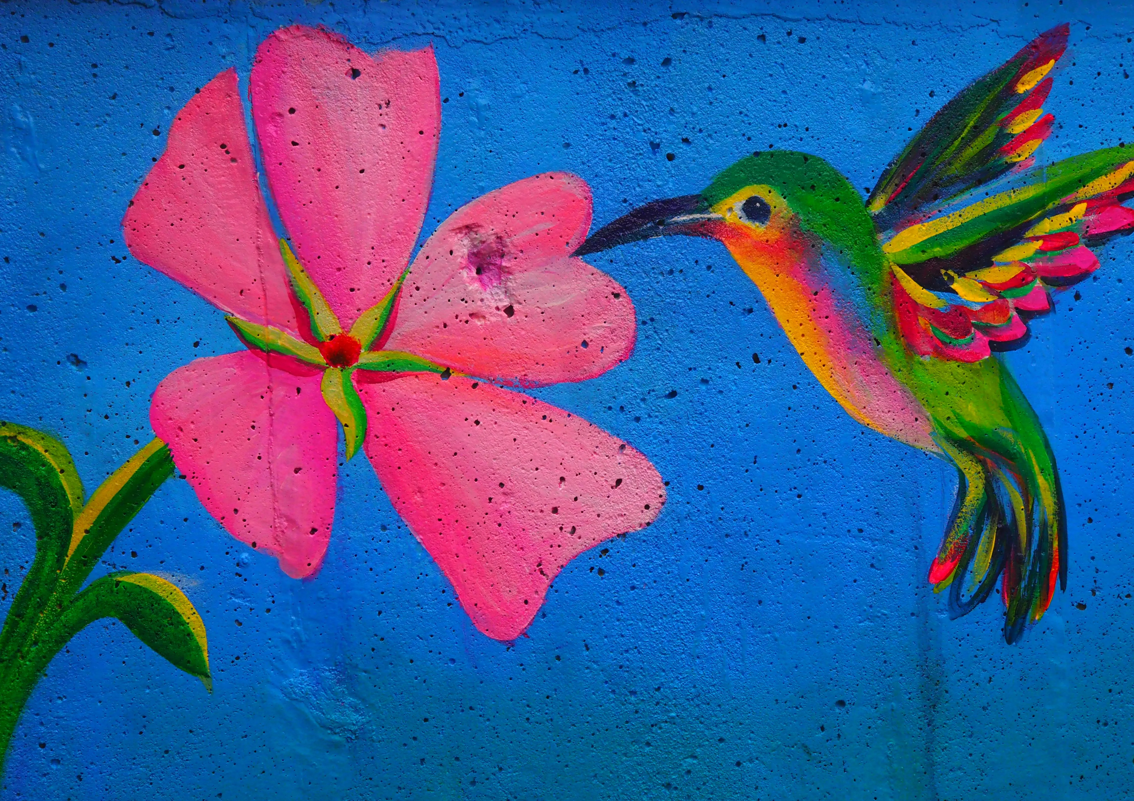 Mural by Shalagh Quinn — P1010052